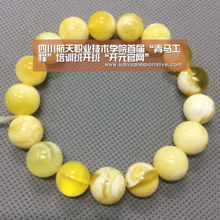 四川航天职业技术学院首届“青马工程”培训班开班“开元官网”(图2) 开元体育