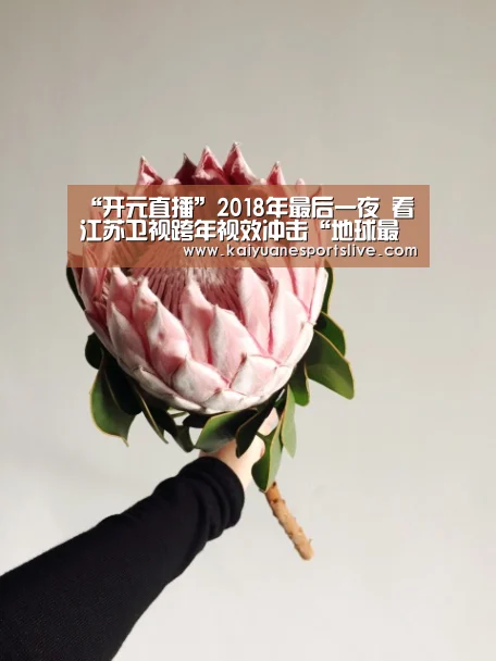 “开元直播”2018年最后一夜 看江苏卫视跨年视效冲击“地球最亮的夜晚”!(图1) 开元竞猜