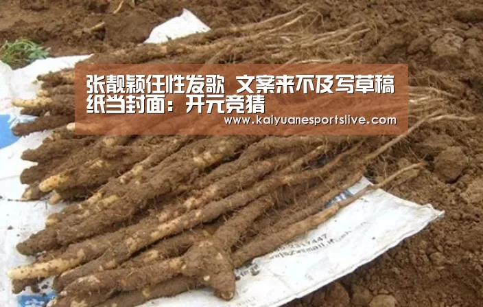 张靓颖任性发歌 文案来不及写草稿纸当封面:开元竞猜(图2) 开元直播
