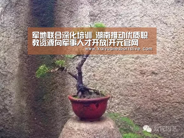 军地联合深化培训 湖南推动优质职教资源向军事人才开放|开元官网(图1) 开元体育