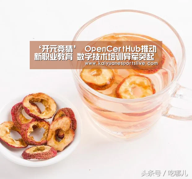 ‘开元竞猜’
OpenCertHub推动新职业教育 数字技术培训异军突起(图1) 开元官网