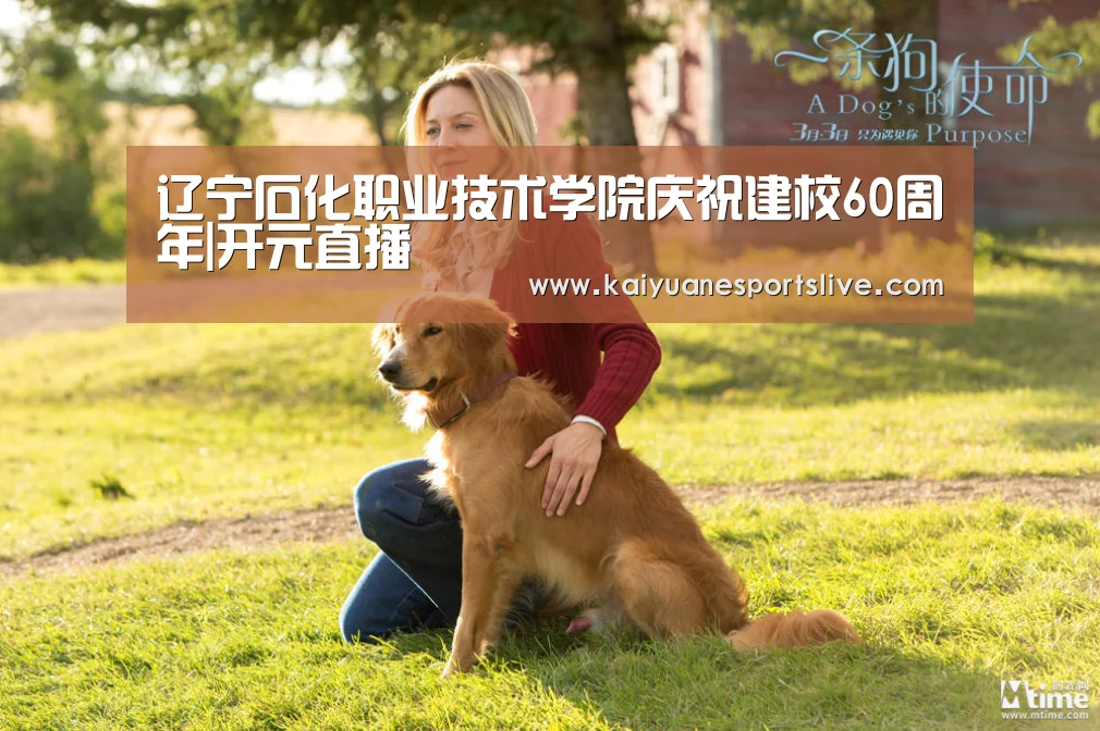 开元官网