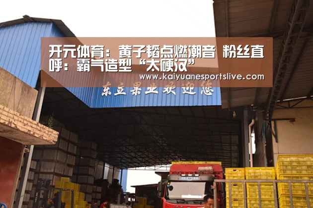 开元直播
